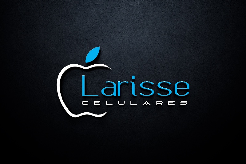 Logotipo 54.719.436 LARISSE COSTA BORGES